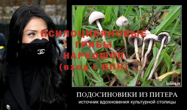 прущие крисы Алзамай